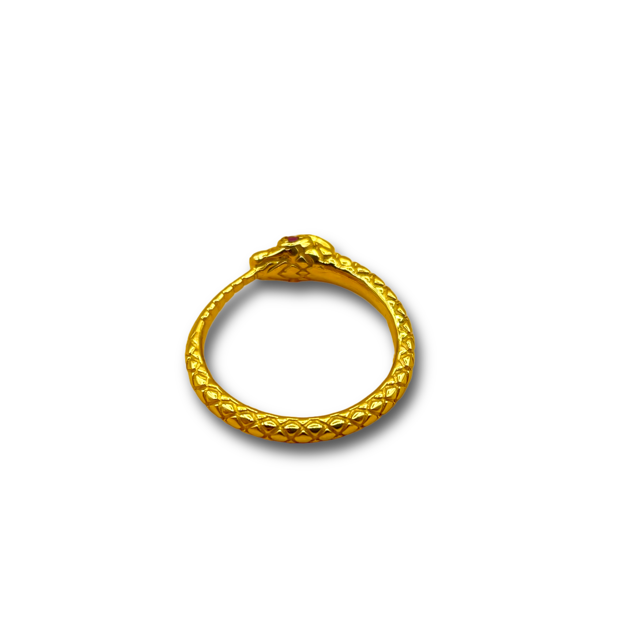 Serpent turquoise  robijn