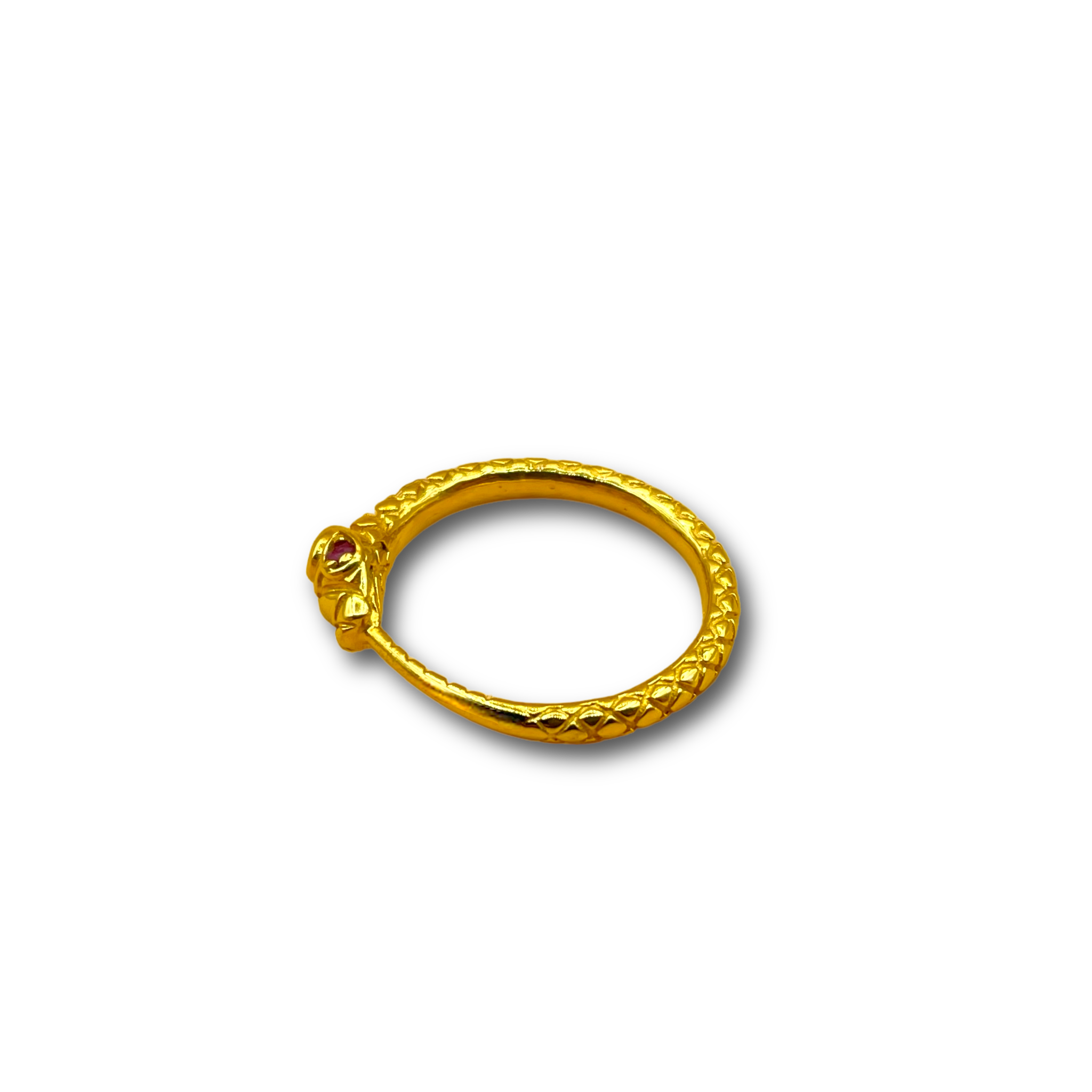 Serpent turquoise  robijn