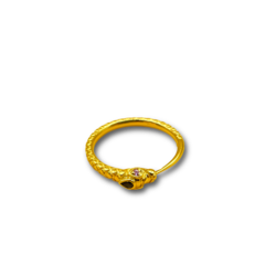 Serpent Sapphire tourmaline