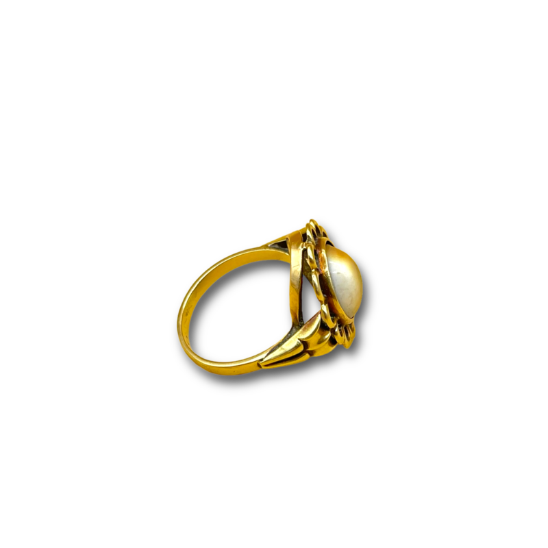 Shell Ring