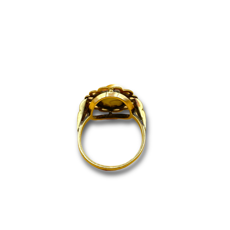 Shell Ring