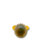 Zwarte opaal en .40ct diamant