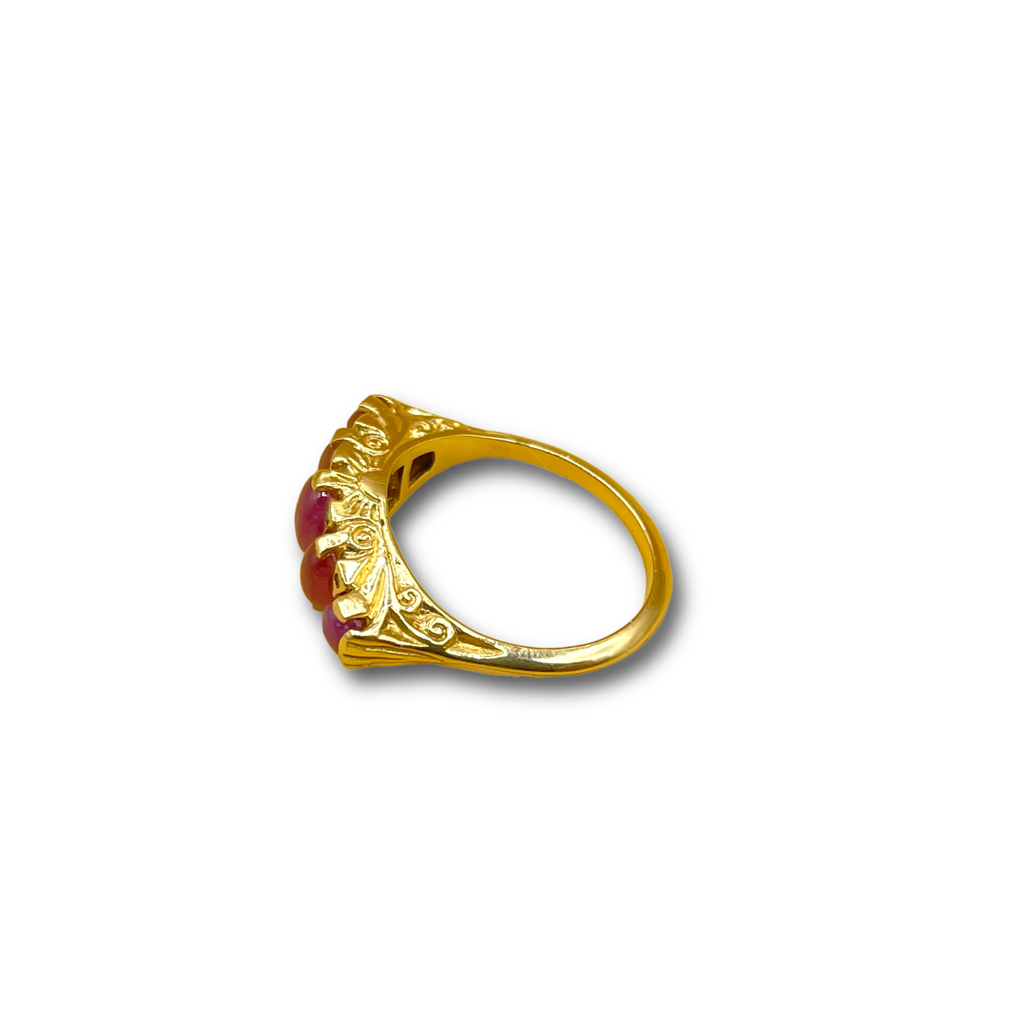 Day and Night robijn