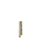 Regenboog