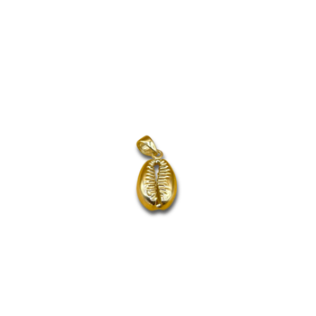 Shell