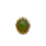 Groene jade