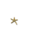 Zeester