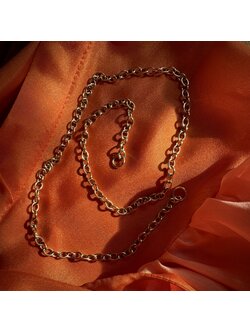 Anchor chain