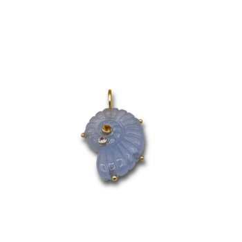 Shell