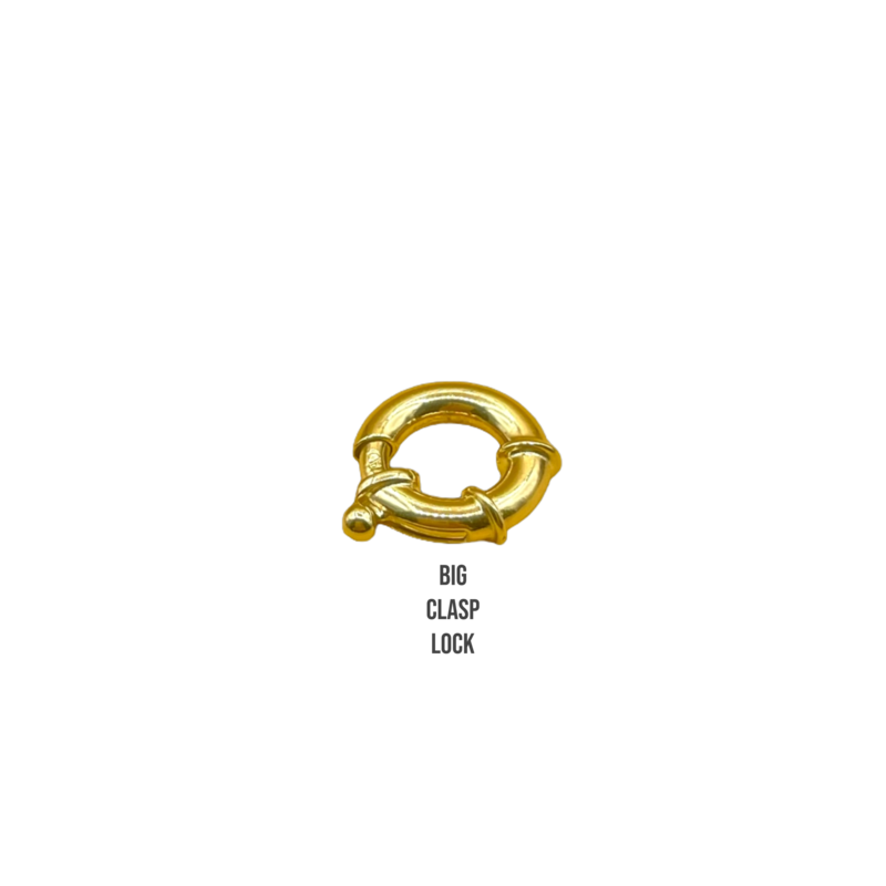Lock Clasp groot