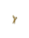 Schaar