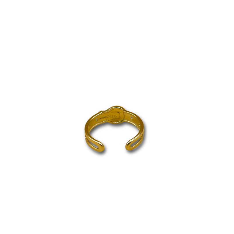 Teen riem ring