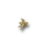 Engel