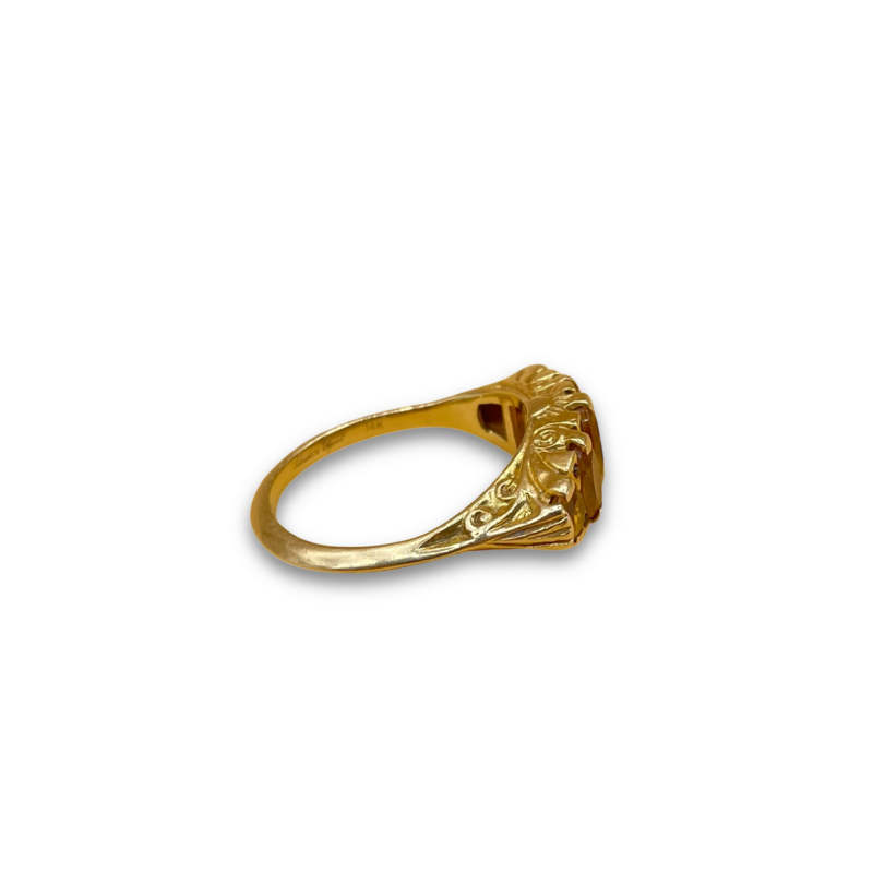 Day and Night ring citrine granaat