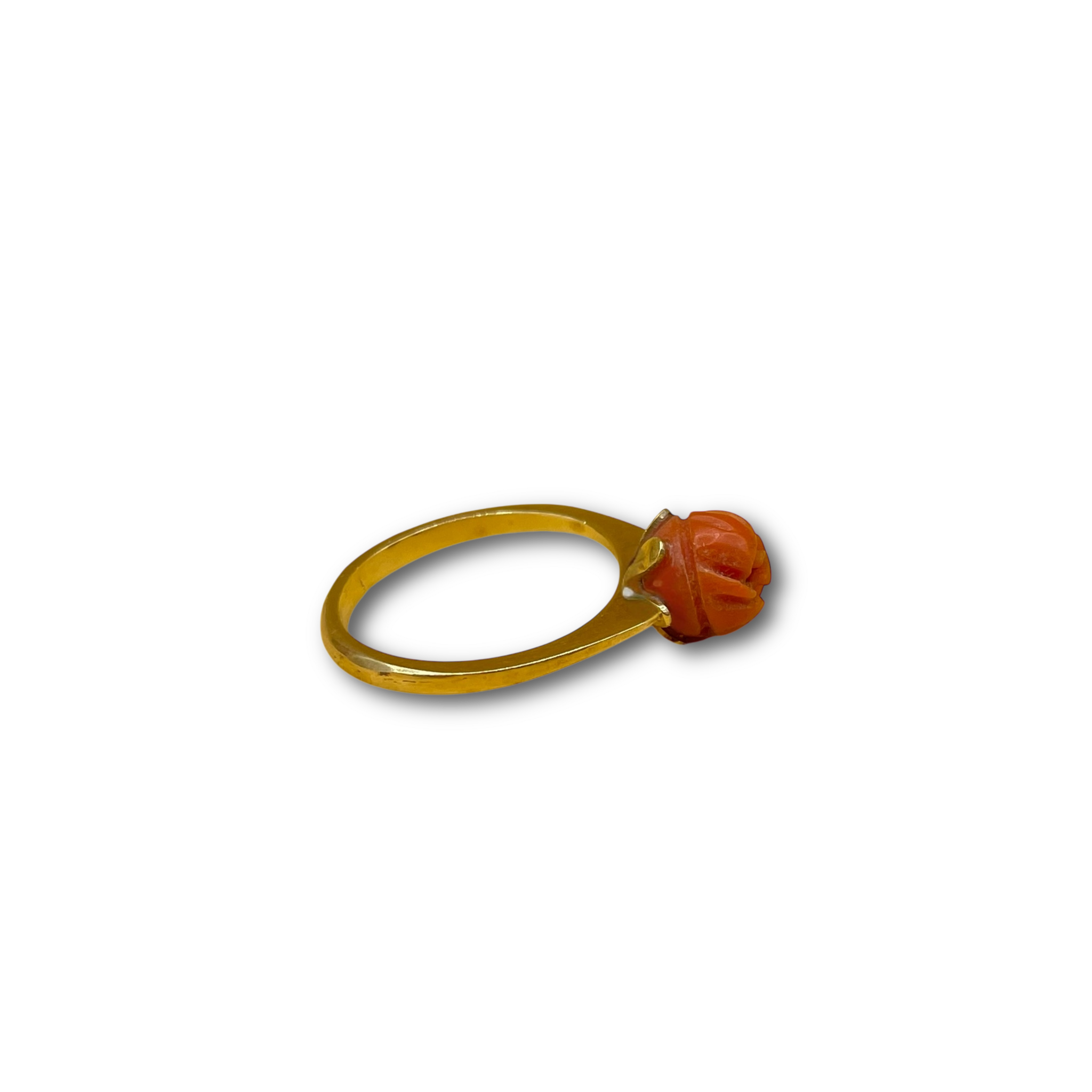 Roos koraal bloedkoraal