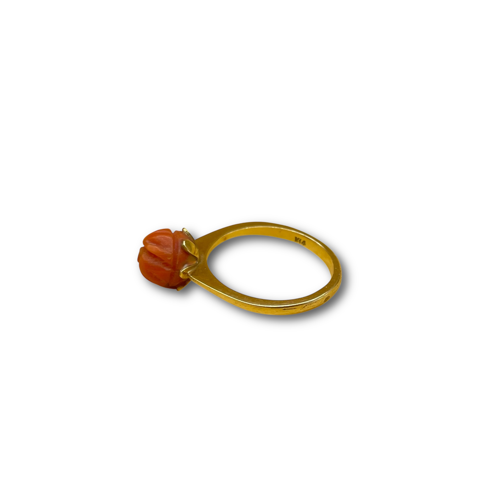 Roos koraal bloedkoraal