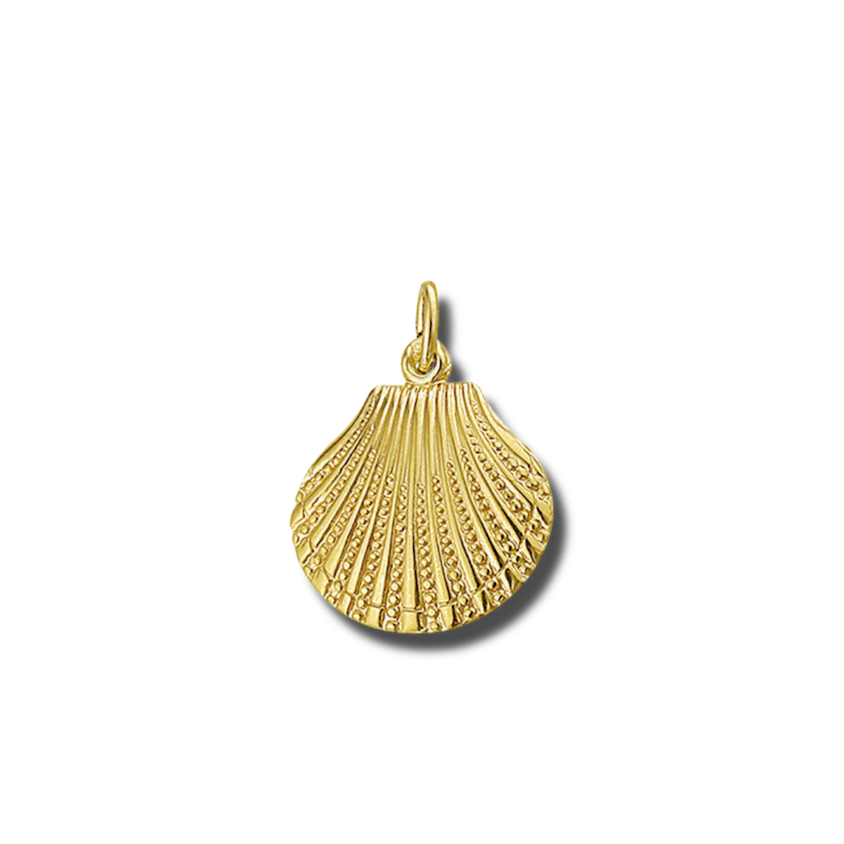 Schelp hanger 14 karaat