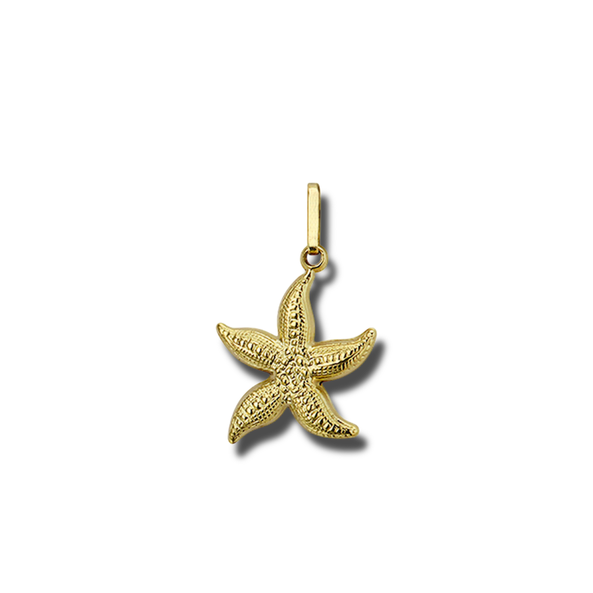 Zeester hanger 14 karaat