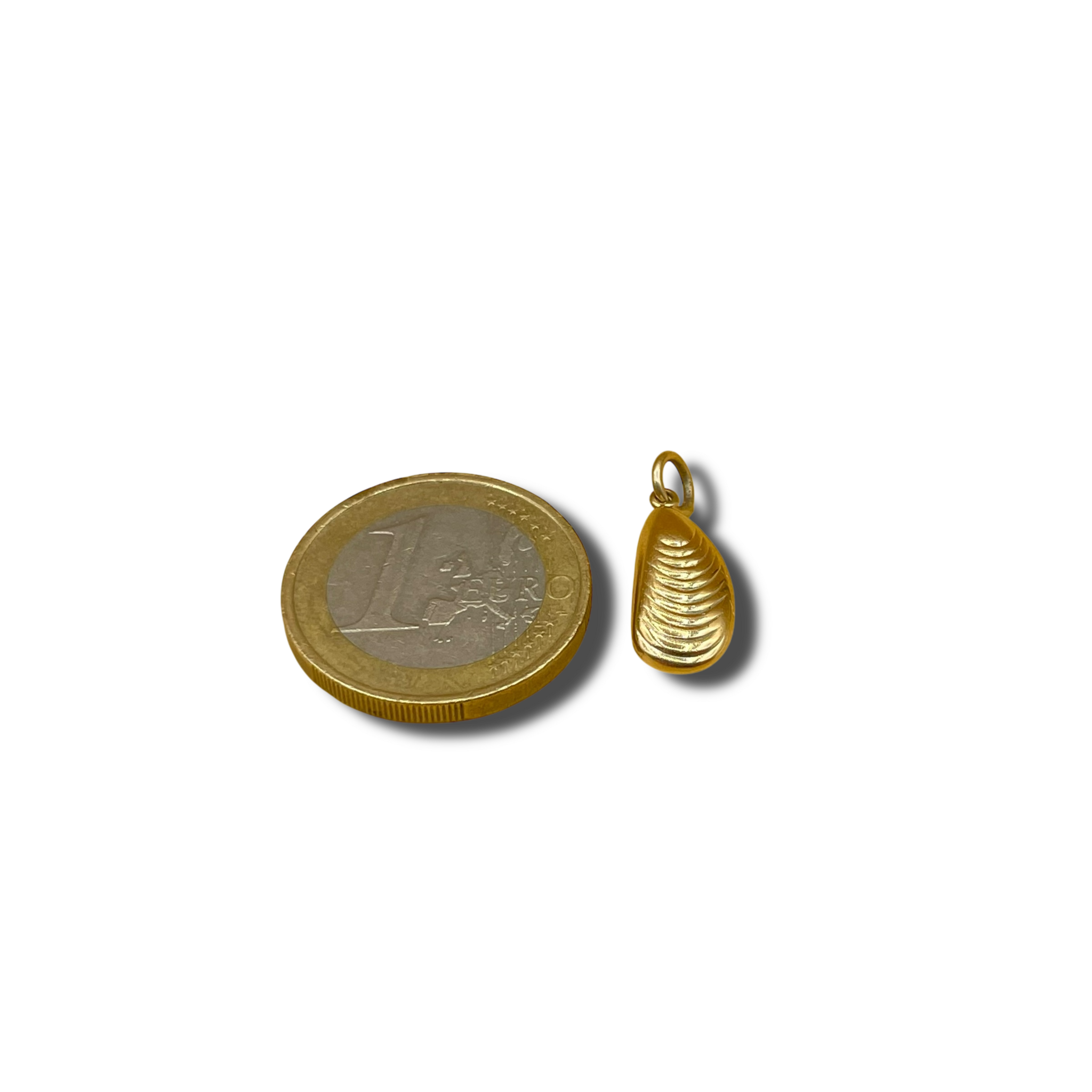 Oester hanger schelp