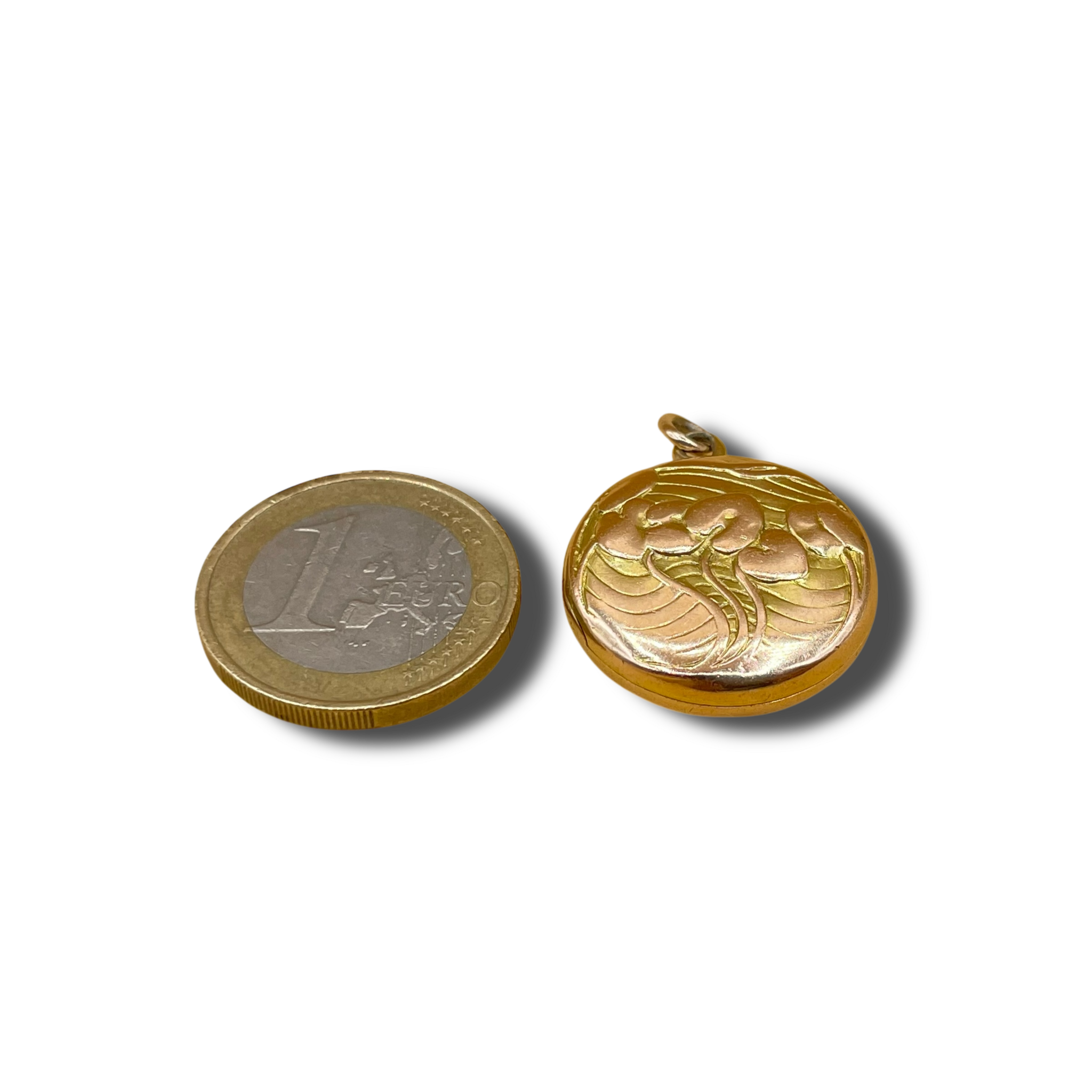 Foto medallion hanger