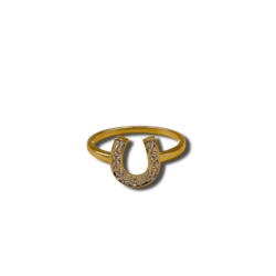 Diamond horse shoe
