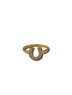 Diamond horse shoe