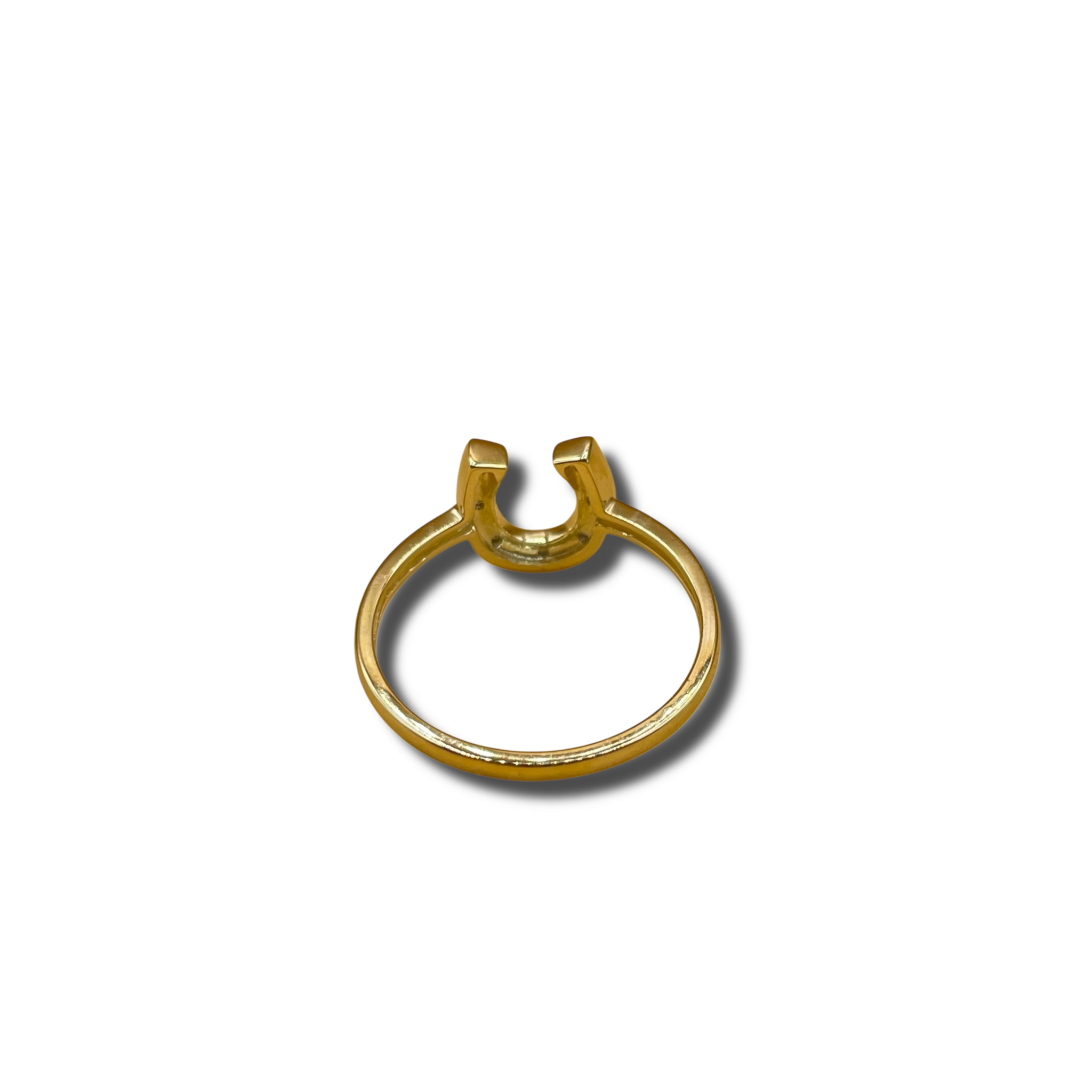 Hoefijzer paarden ring diamant