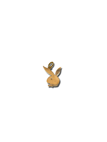 Playboy bunny