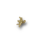 Engel