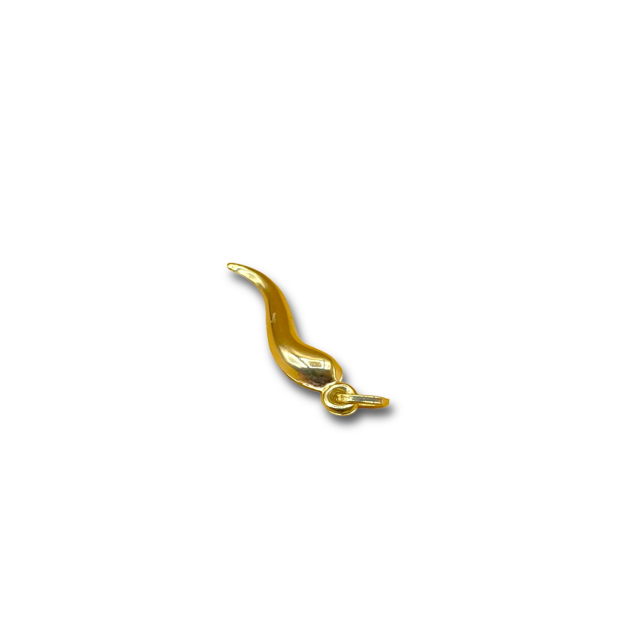 Geluks wortel hanger