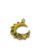 Crescent Maan regenboog