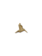 Kolibrie