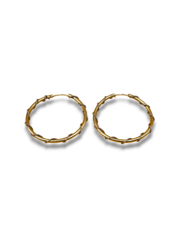Earrings hoops
