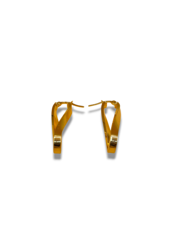 Earrings hoops