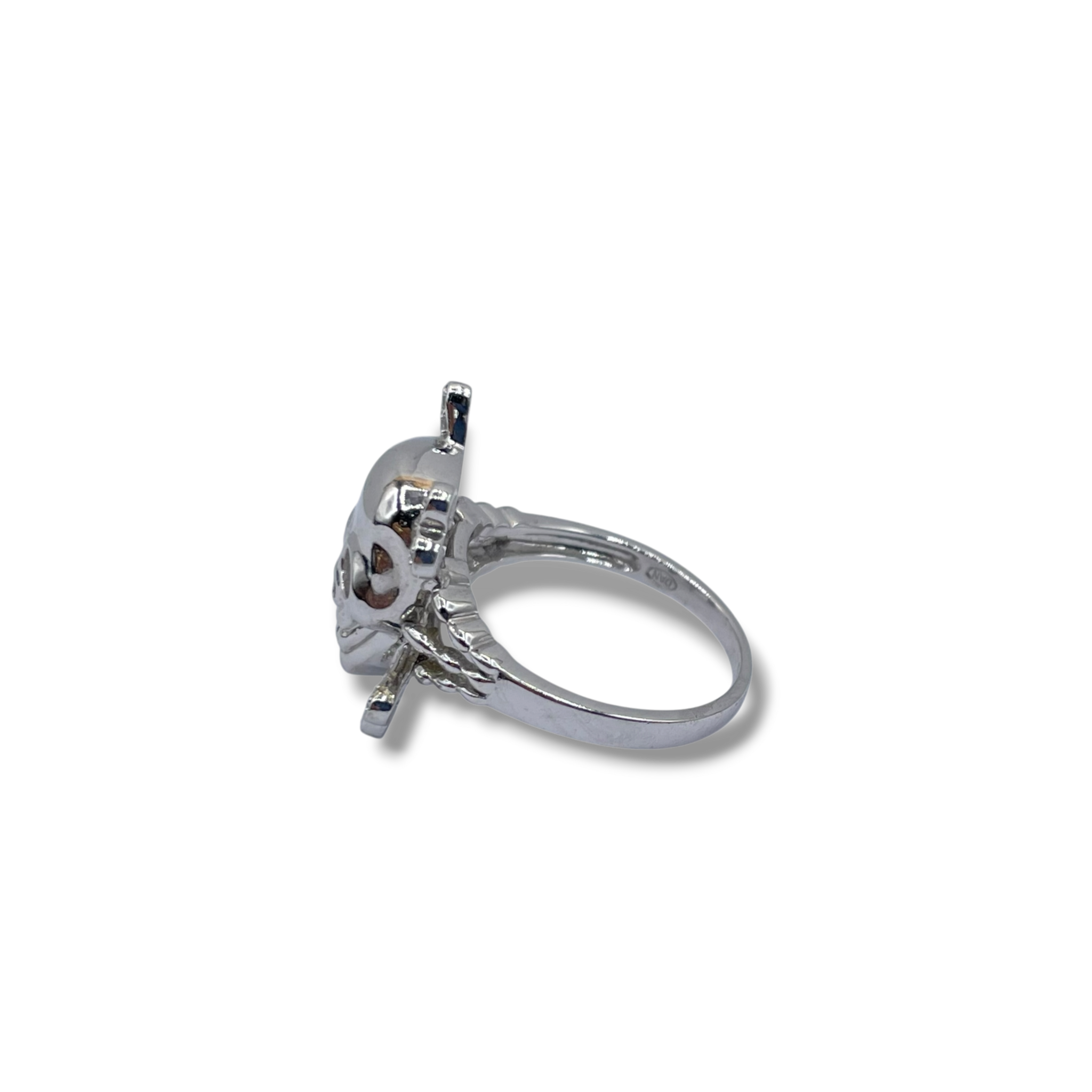 Doodshoofd diamant skelet piraat