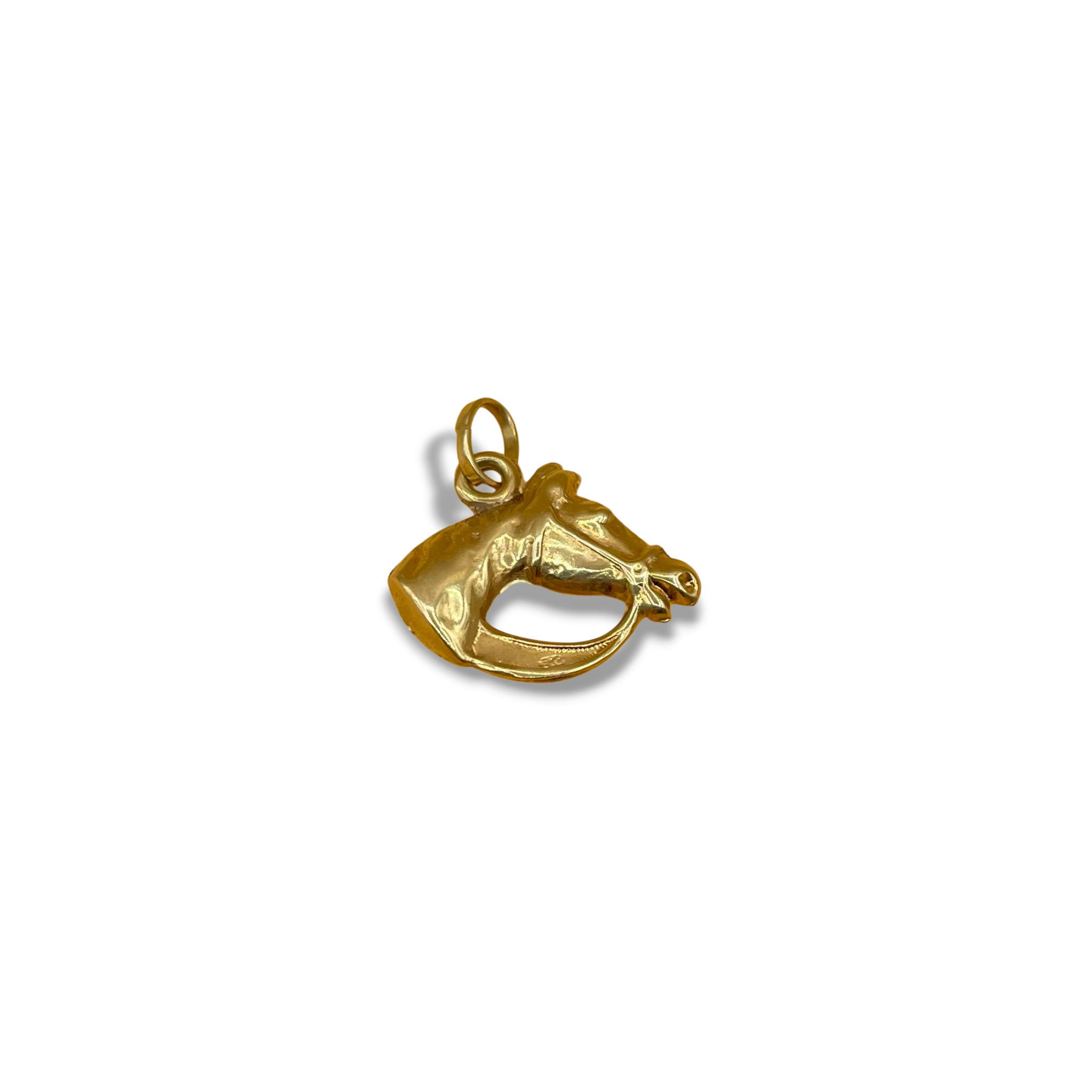 Paard paardenhoofd