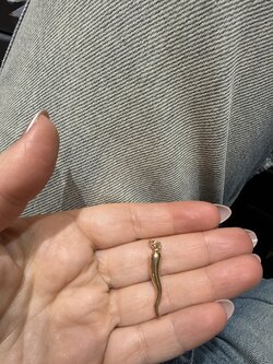 Luck horn
