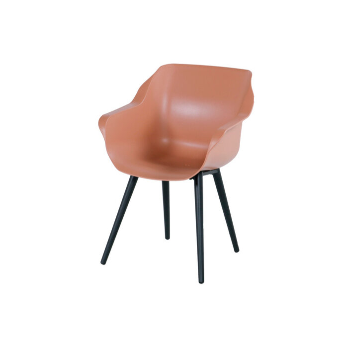 Hartman HARTMAN SOPHIE STUDIO ARMCHAIR with colored seat and carbon black legs
