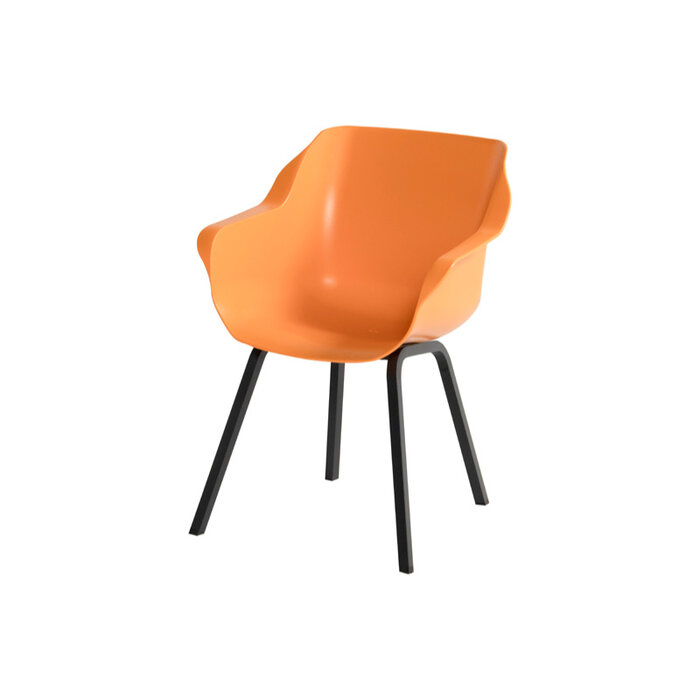 Hartman HARTMAN SOPHIE ELEMENT ARMCHAIR with colored seat and black legs