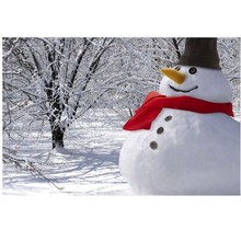 Sneeuwpop aankleedset - aankleedspullen