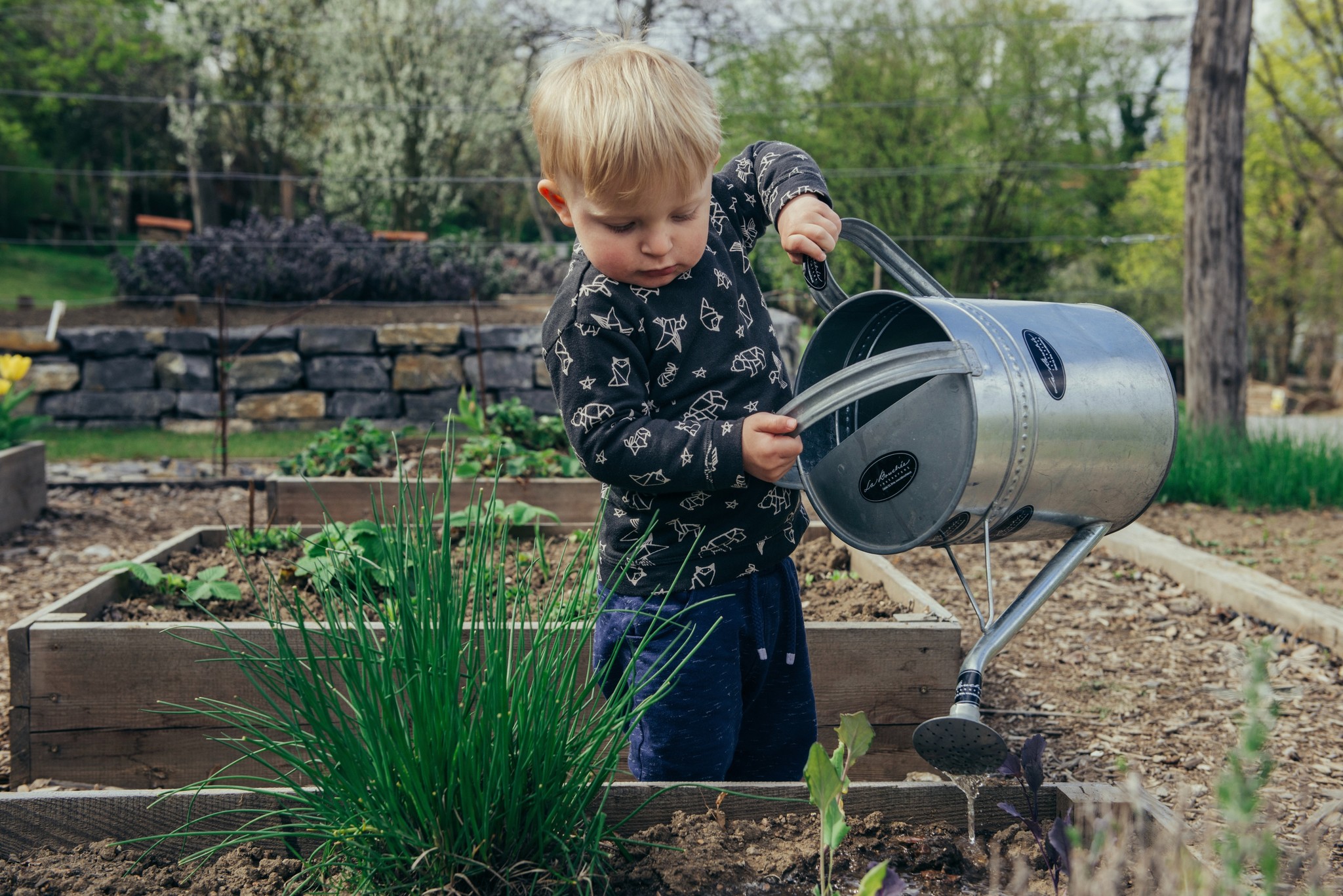 Baffle plakband Ontcijferen Tips! - Tips om je tuin in het voorjaar klaar te maken