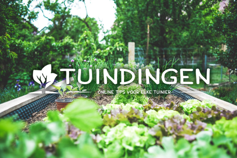 Tuindingen "Inspiratie voor de tuinier" artikel over Tuingilde