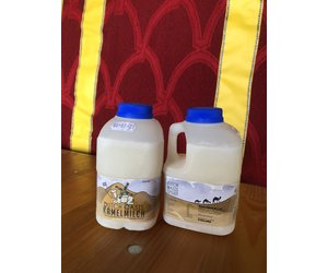 5 Liter Kamelmilch, roh, unbehandelt, tiefgefroren - Kamelmilch