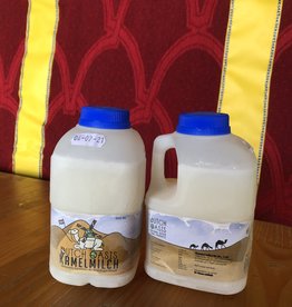 Lait de chamelle 8 litres