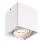 HOFTRONIC Dimmable LED surface mounted ceiling spotlight Esto 2700K GU10 White IP20 tiltable