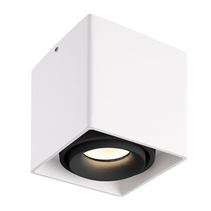 LED Opbouwspot Esto Wit/Zwart LED Opbouwspot Esto Wit/Zwart