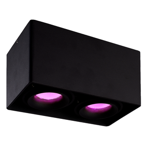 Smart Ceiling Spot Esto Duo