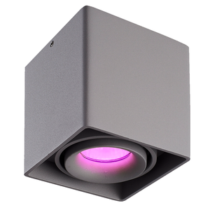 Smart Ceiling Spot Esto Smart Ceiling Spot Esto