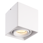 Smart WiFi LED opbouw plafondspot Esto Wit incl. 5,5W GU10 RGBWW spot IP20 kantelbaar Homeylux Smart WiFi LED opbouw plafondspot Esto Wit incl. 5,5W GU10 RGBWW spot IP20 kantelbaar
