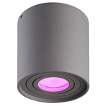 Hoftronic Smart Smart WiFi LED surface mounted ceiling spotlight Ray grey RGBWW incl. GU10 IP20 tiltable